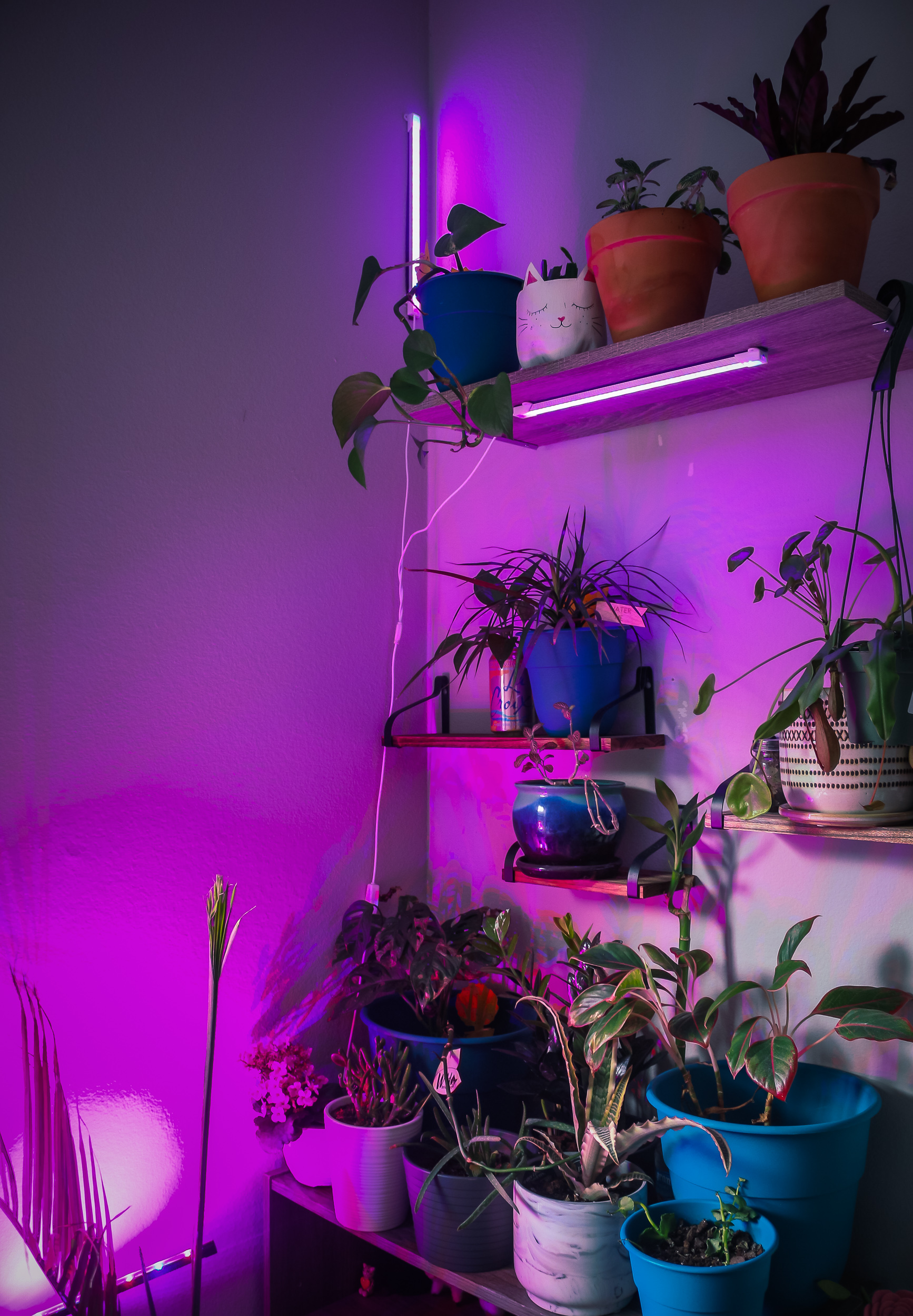 download indoor plant lights for free